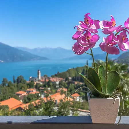 La Perla View Quiet Private Location *